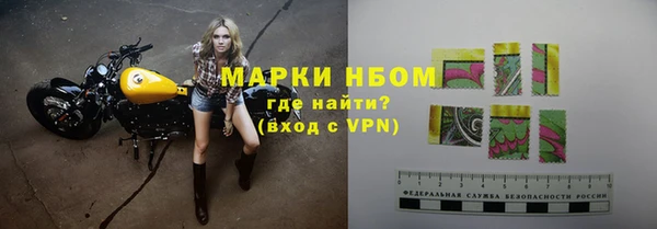 прущие грибы Володарск