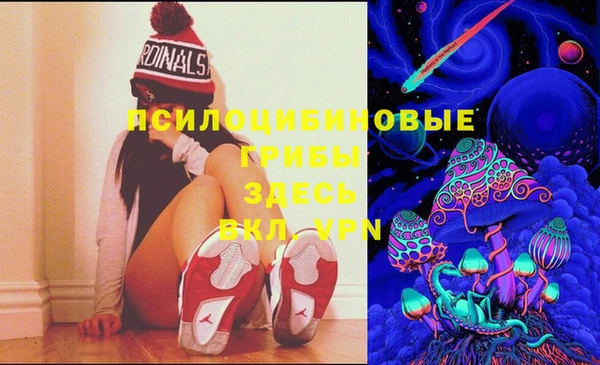 хмурый Волосово