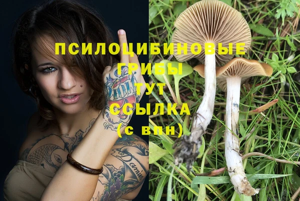 мескалин Волоколамск