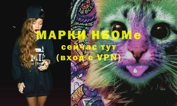 шишки Вяземский