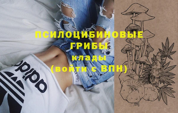 шишки Вяземский