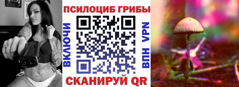 блэк спрут ссылки  Данилов  Галлюциногенные грибы прущие грибы 